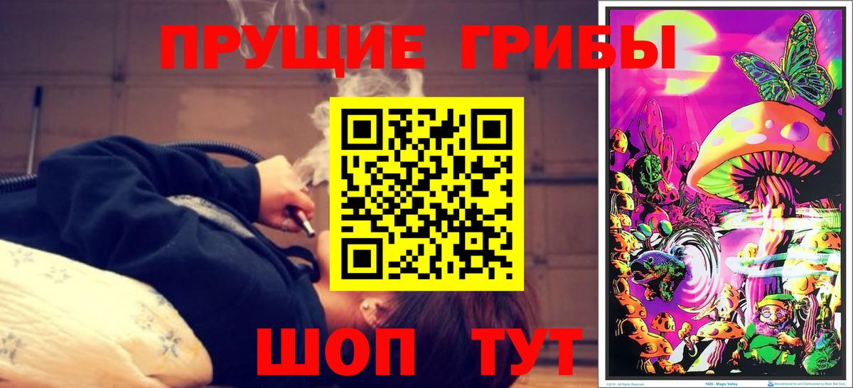 Галлюциногенные грибы Cubensis  Вход с VPN  Северск 