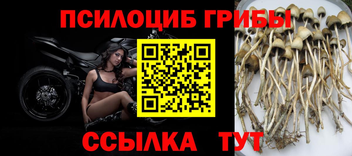Галлюциногенные грибы MAGIC MUSHROOMS Северск